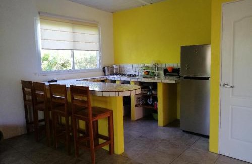 Copecito Casa | CASITA COLIBRIS