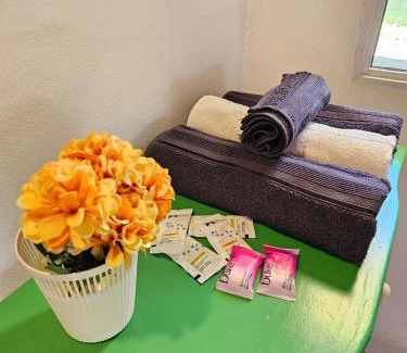 Posadas Apartamento | Casita pintoresca con entre piso
