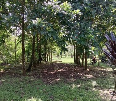Bijagua Casa | Casitas del Río Bijagua