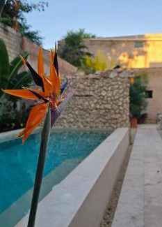 Centro Apartamento | Casitas Merida