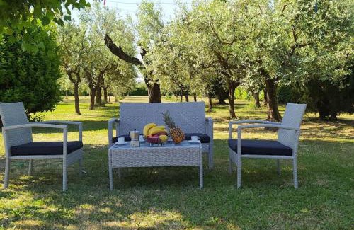 Chiesina Uzzanese Casa | Casolare L'Antico Olivo