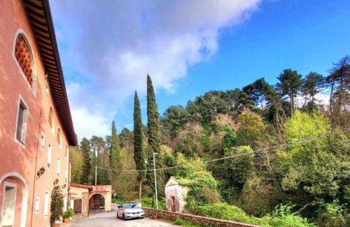 Nocchi Casa | Castagnina