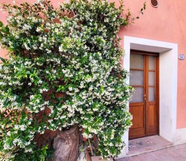 Nocchi Casa | Castagnina