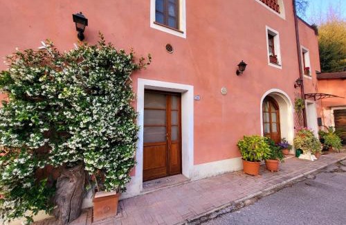 Nocchi Casa | Castagnina