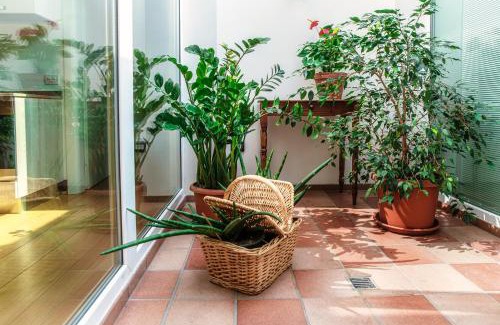 Novazzano Cama Y Desayuno | Castello di Brusata Apartment by Quokka 360 - romantic flat with pool