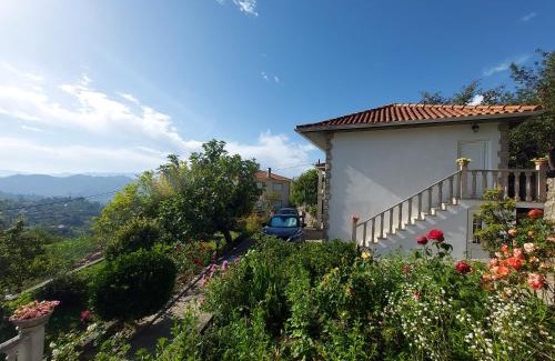 Sao Tiaguinho Casa | Castelo dos Sonhos