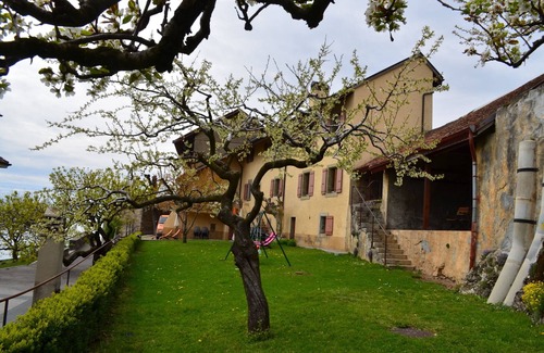Chardonne Apartamento | Castillo En Los Viñedos