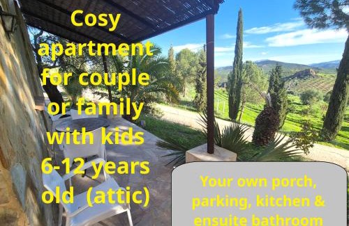 Alozaina Apartamento | Castle Tower apartment BERNARD in rural holiday park