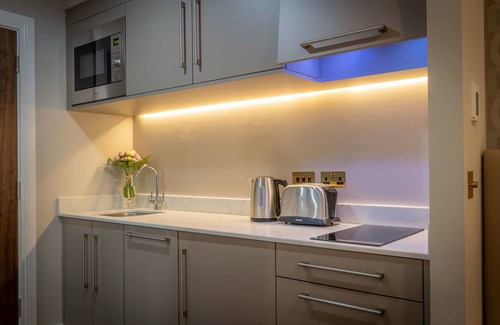 Annacotty Apartamento | Castletroy Park Hotel Suites