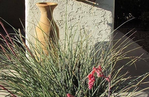 Tucson Casa | Casual, Elegant Patio Townhouse - Very Special!