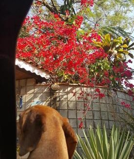 Itu Chalet De Esquí | Casulo da mamys