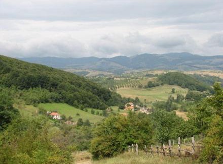 Balta Casa | Casuta de la Munte