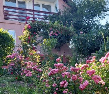Vladesti Casa | Casuta dintre dealuri