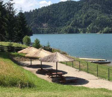 Bistrita Bargaului Casa | CASUTA LANGA LAC
