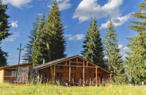 Saru Dornei Chalet De Esquí | Casute cu cerdac