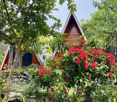Cat Hai Cabina | Cat Ba Love House