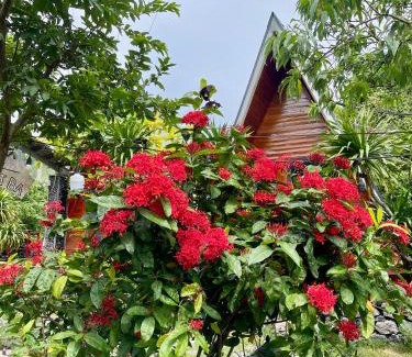 Cat Hai Cabina | Cat Ba Love House