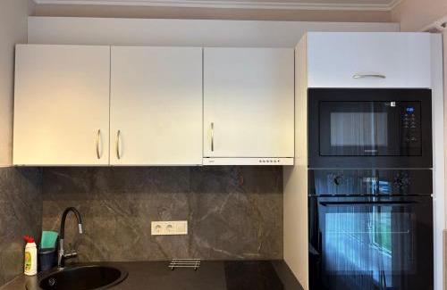 Purvciems Apartamento | Cat Garden Classic Apartments Riga