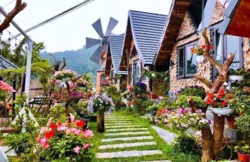 Tam Dao Casa | Cau May Tam Dao - Venuestay