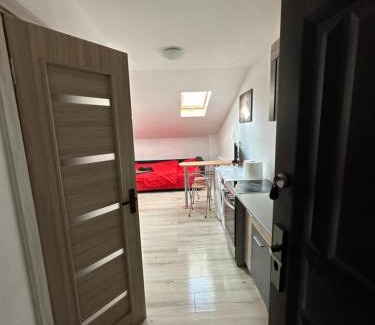 Arad Apartamento | Cazare Regim Hotel