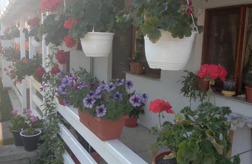 Hateg Casa | CAZARE TURISM PRISLOP