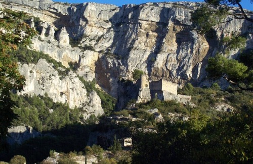 Fontaine-de-Vaucluse Casa | Debajo del olivo en Provenza