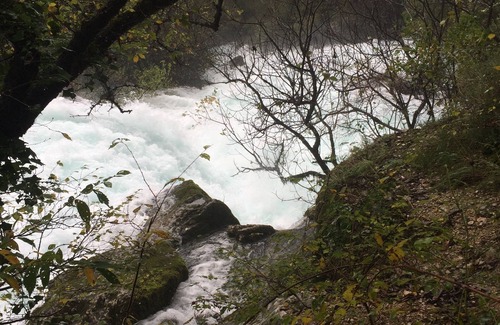 Fontaine-de-Vaucluse Casa | Debajo del olivo en Provenza