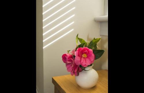 Helensburgh Apartamento | Cedar Apartment