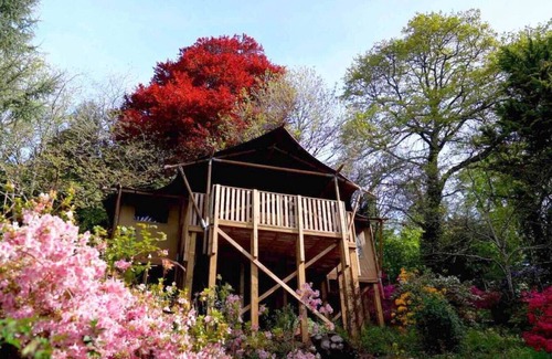 Kingsbridge Cabina | Cedar Lodge @ Lower Coombe Royal- with Hot Tub