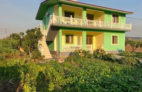 Divjake Apartamento | Cela House