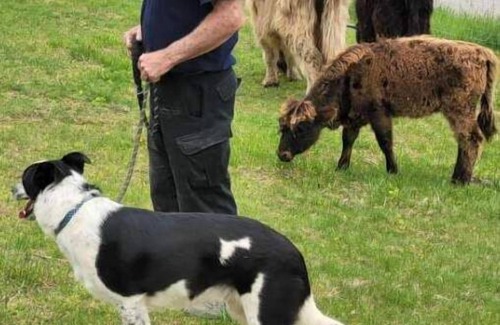 Freedom Alquiler De RV | Celtic Glen Farm Stay - Quarry Site