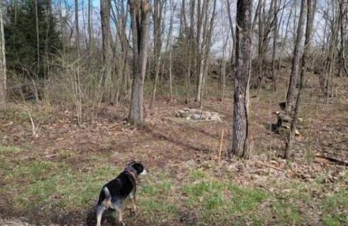 Freedom Alquiler De RV | Celtic Glen Farm Stay - Quarry Site