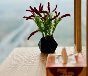 Blue Area Apartamento | Centaurus Apartment