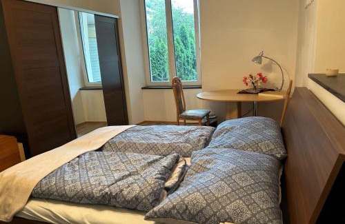 Bad Ischl Apartamento | Center No 1