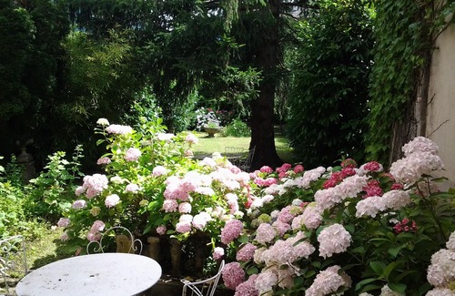 Bagneres-de-Luchon Apartamento | Center of Bagnères de Luchon, gd T2/3 (65m²) of independent character, with garden.