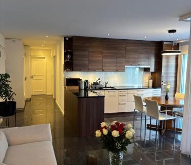 Central Interlaken Apartamento | Center Park Apartment