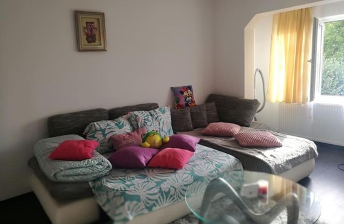 Campulung Moldovenesc Apartamento | Central 1 bedroom apartment