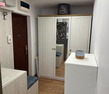 Carei Apartamento | Central apartment