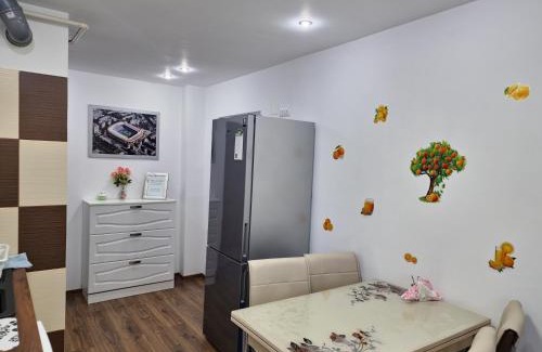 Petrosani Apartamento | Central Apartment