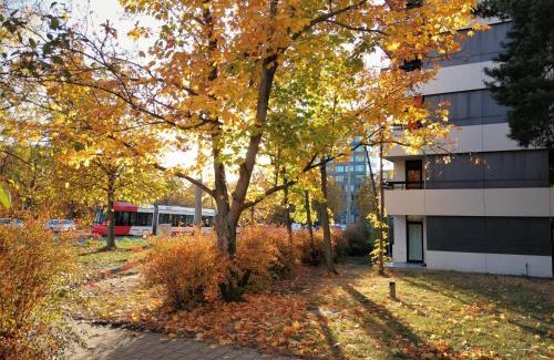 Tullnau Apartamento | Central-Apt at Lake, CityCenter 5min, Fair 18min!