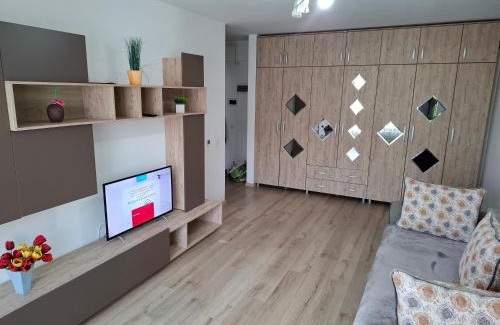 Bacau Apartamento | Central EvaApartments 2
