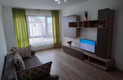 Bacau Apartamento | Central EvaApartments 2