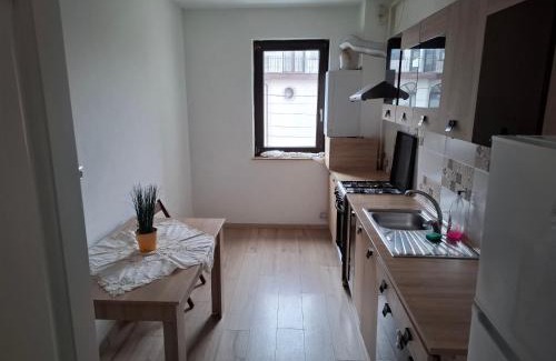 Bacau Apartamento | Central EvaApartments 2