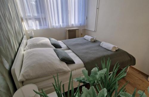 Debrecen Apartamento | Central Greatforest Apartman 2