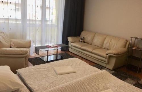 Zalaegerszeg Apartamento | Central
