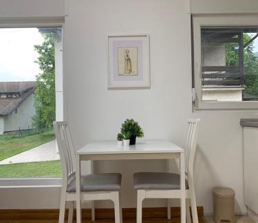 Bajina Basta Casa | Central Lux 2