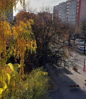 Tirgu Mures Apartamento | Central Panorama