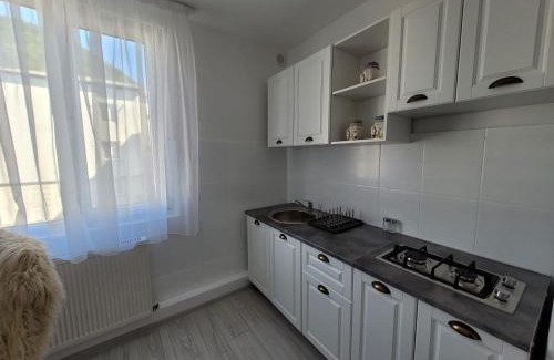 Piatra Neamt Apartamento | Central Residence