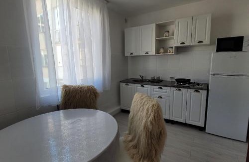 Piatra Neamt Apartamento | Central Residence