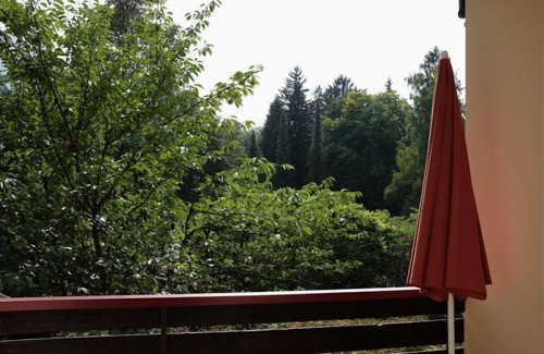 Gmain Apartamento | apartamento céntrico y espacioso para 1 - 4 personas